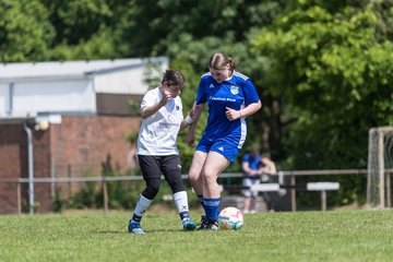 Bild 37 - wBJ VfL Pinneberg - Harksheide : Ergebnis: 2:1